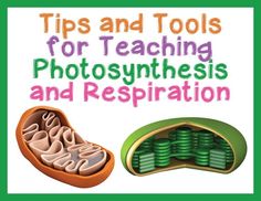 a book cover with an image of a cell phone and the words tips and tools for teaching photosyntheism and respiition