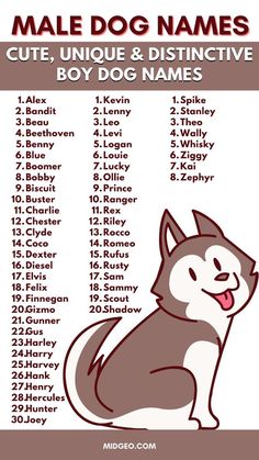 a dog's name and its meanings