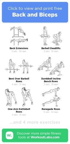 an exercise poster with the instructions to do back and biceps in different positions