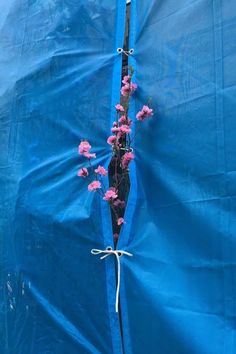 a blue tarp with pink flowers growing out of it and tied to the side