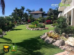 a lush green lawn with rocks and plants in front of a white house surrounded by palm trees