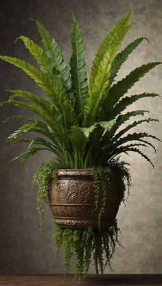 a potted plant sitting on top of a wooden table next to a gray wall