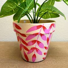 a potted plant sitting on top of a wooden table