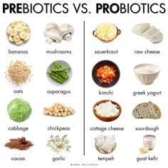 Pre Biotics, Pro Biotics, Prebiotics And Probiotics, Healthy Lifestyle Food, Gut Bacteria, Wild Free, Food Facts