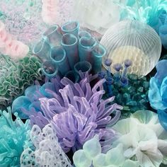 many different colored flowers and shells are arranged together on the table in front of each other