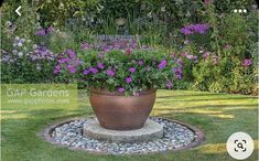 a large potted plant sitting on top of a stone circle in the middle of a garden