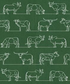 an image of cows in different positions on the same line as they are drawn by hand