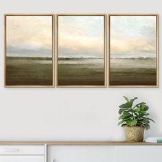 three paintings hanging on the wall above a white dresser with a potted plant next to it