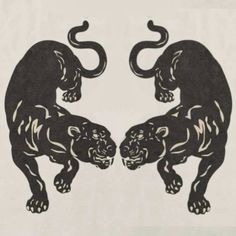 two black tigers facing each other with their tails curled up in the shape of horns