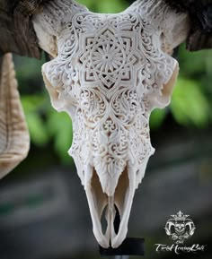 an animal skull with intricate carvings on it's back end and its long horns