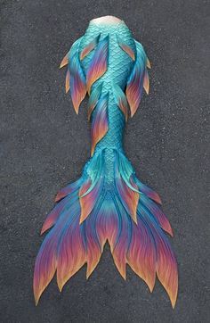 the tail of a bird is painted with multicolored feathers