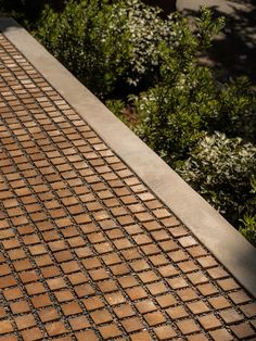 an orange and white cat sitting on top of a brick walkway next to shrubbery