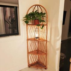 a bamboo shelf with a potted plant on top and a candle in the middle