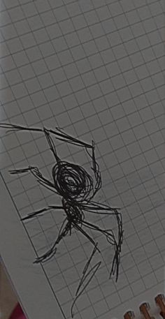 a drawing of a spider on a piece of paper