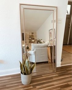 a mirror sitting on top of a wooden floor next to a potted snake plant