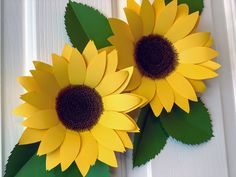 two yellow sunflowers sitting on top of green leaves