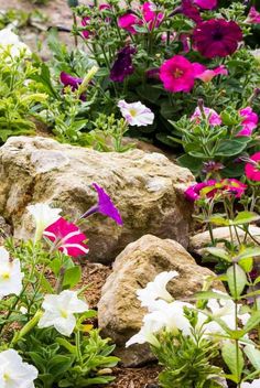 flowers and rocks in a garden with purple, white and pink flowers on the ground