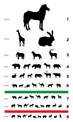 the silhouettes of different animals are shown in black and white, as well as numbers