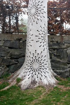 a large white tree with holes on it's trunk in front of a stone wall