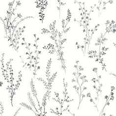 an image of some flowers on a white background with black and grey ink drawing style