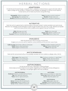 the different types of resumes and how to use them in your job description form