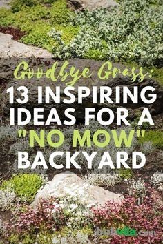 the words, 13 inspireing ideas for a no - mow backyard with rocks and plants