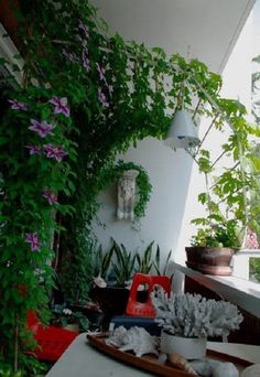 plants are growing on the side of a building near a table with an iron potted plant