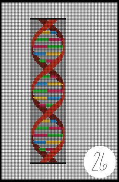 a cross stitch pattern with an image of a double - stranded structure in red and green