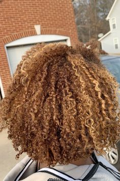 Honey Blonde Hair On 4c Hair, Honey Brown Hair Color Black Women Curly, Honey Blonde Hair On Mixed Women, Honey Blonde Mini Twists, Natural Hair Honey Brown, Honey Blonde Hair With Blonde Highlights, Blonde 4a Hair, Black Hair With Honey Blonde Highlights, Brown And Blonde Dyed Hair