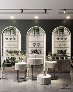 a room filled with lots of potted plants next to two arched windows on the wall