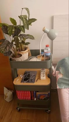 a bed with a plant on top of it next to a book shelf filled with books