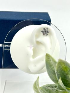 a pair of earrings sitting on top of a table next to a green leafy plant