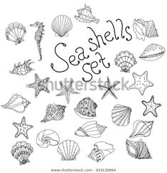 seashells set drawn in black and white with the words sea shells on it