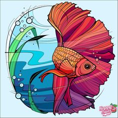 a colorful fish with bubbles in the water