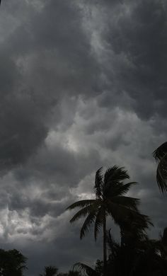 the sky is filled with dark clouds and palm trees