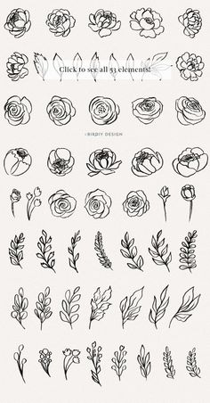 flowers and leaves drawn in black ink on white paper with the words, click to see all