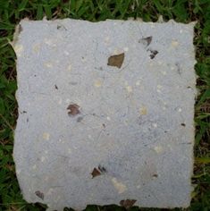 a piece of paper that has been left on the ground with some dirt in it