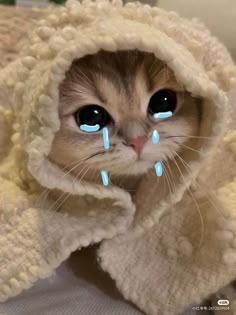 a cat with blue eyes is wrapped in a blanket and has tears on his face