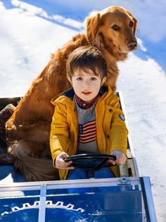 a boy and his dog are riding on a sled