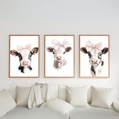 three pictures of cows with pink bows on their heads are hanging in a living room