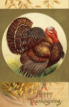 a happy thanksgiving card with a turkey on the front and an image of a cornfield in the back