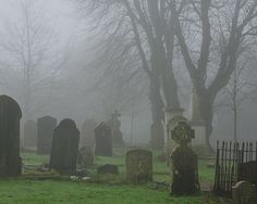 a cemetery with many headstones and trees in the background on a foggy day