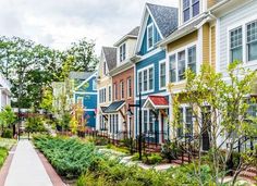 a row of colorful houses with trees and bushes in the foreground on a sunny day