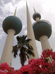 two tall towers with flowers in the foreground and palm trees in the back ground