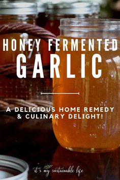 honey ferments in jars with text overlay that reads, honey fermented garlic a delicious home remedy and culinary delight