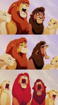 the lion king and his four cubs are shown in different stages of being angry with each other