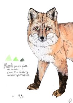 a drawing of a fox standing in front of a white background with words written below it