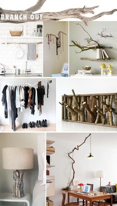 a bunch of pictures with different items in them and some branches hanging on the wall