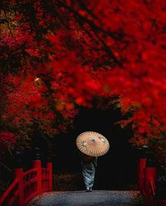 a person walking down a path with an umbrella over their head in front of red trees