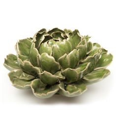 an artichoke is shown on a white background